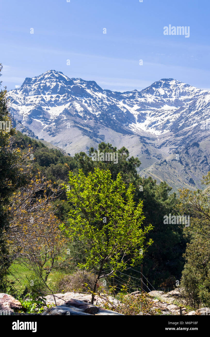 Sierra Nevada. Mulhacen, 3.478,6 m, la montagna più alta della penisola iberica e la Alcazaba, 3.371 m (sinistra ) picchi nel nord faccia del Sier Foto Stock