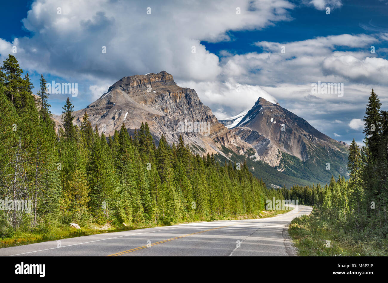 Montagna molare, Mount Hector, nel parco varia, Canadian Rockies, dall'Icefields Parkway, il Parco Nazionale di Banff, Alberta, Canada Foto Stock