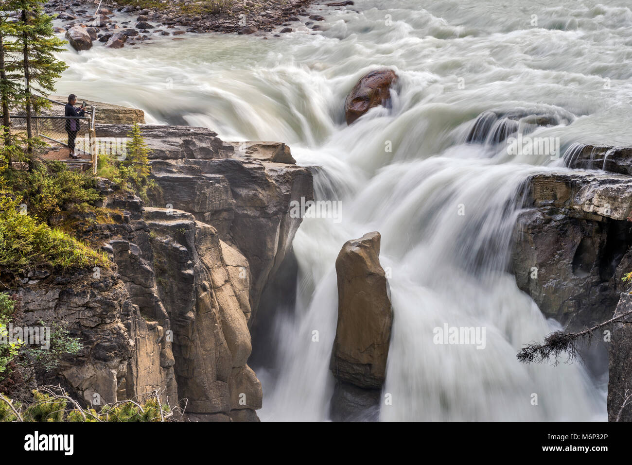 Sunwapta Falls, Canadian Rockies, Icefields Parkway, Jasper National Park, Alberta, Canada Foto Stock