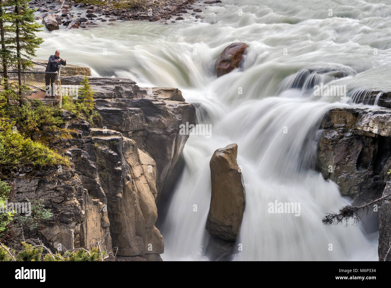 Sunwapta Falls, Canadian Rockies, Icefields Parkway, Jasper National Park, Alberta, Canada Foto Stock
