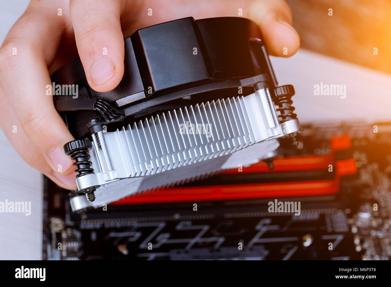 Le mani del tecnico installazione dello scambiatore di calore della CPU ventilatore su un computer pc scheda madre estrazione di crypto valuta da schede video Foto Stock