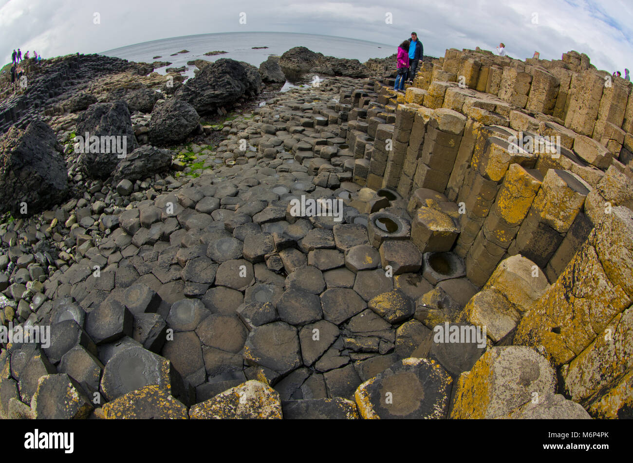 Giant's Causeway, Irlanda Foto Stock