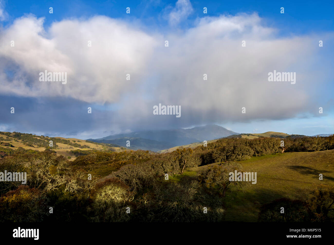 Tempesta passa sopra il territorio Morgan preservare la California del nord orientale di Contra Costa County oscurando il Mount Diablo da visualizzare. Foto Stock