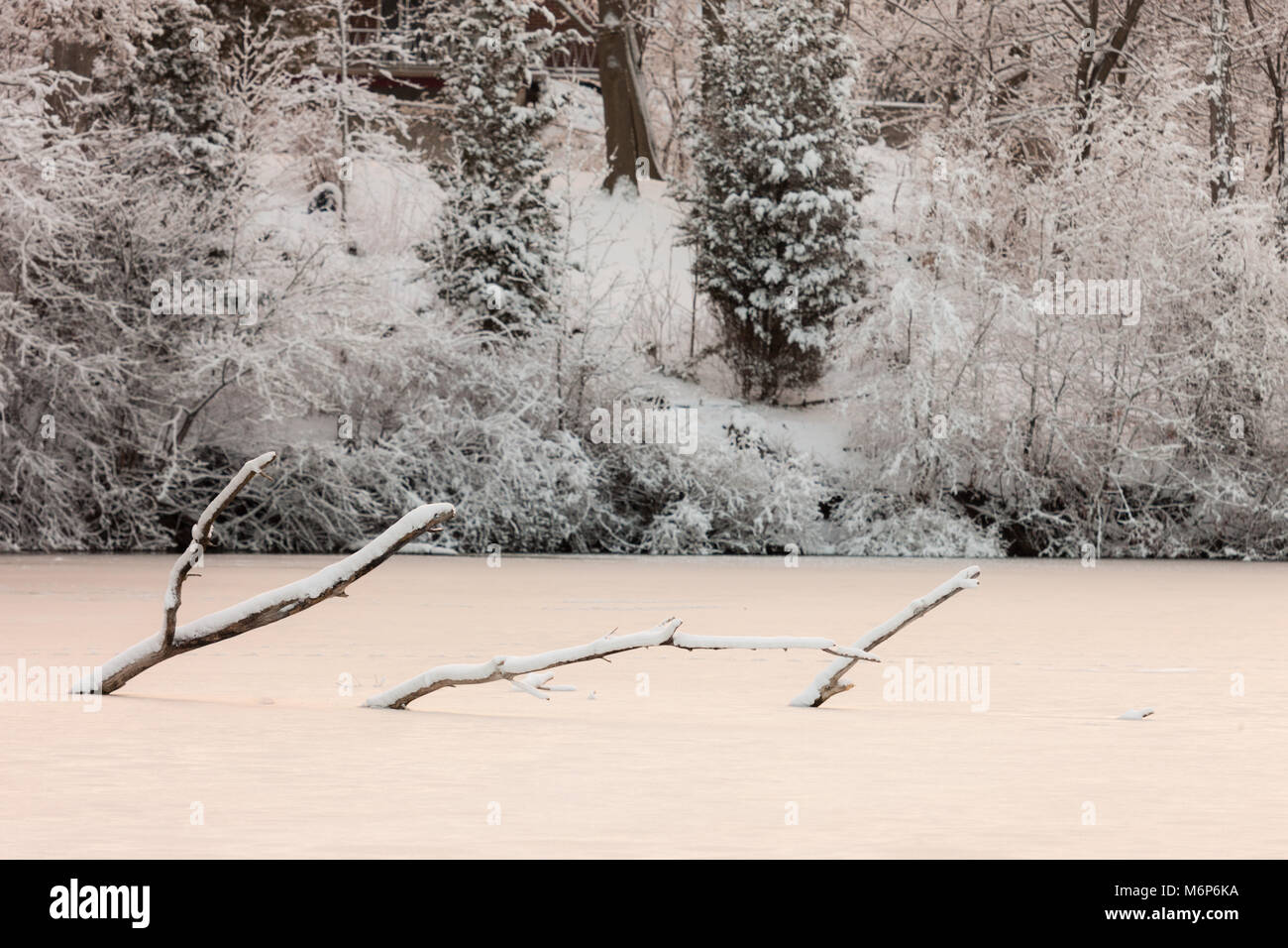 Pinafore Parco di San Tommaso, il Canada è tappezzate in neve fresca dopo un ritardo di tempesta di neve copriva la regione con più di 25cm di neve. Foto Stock