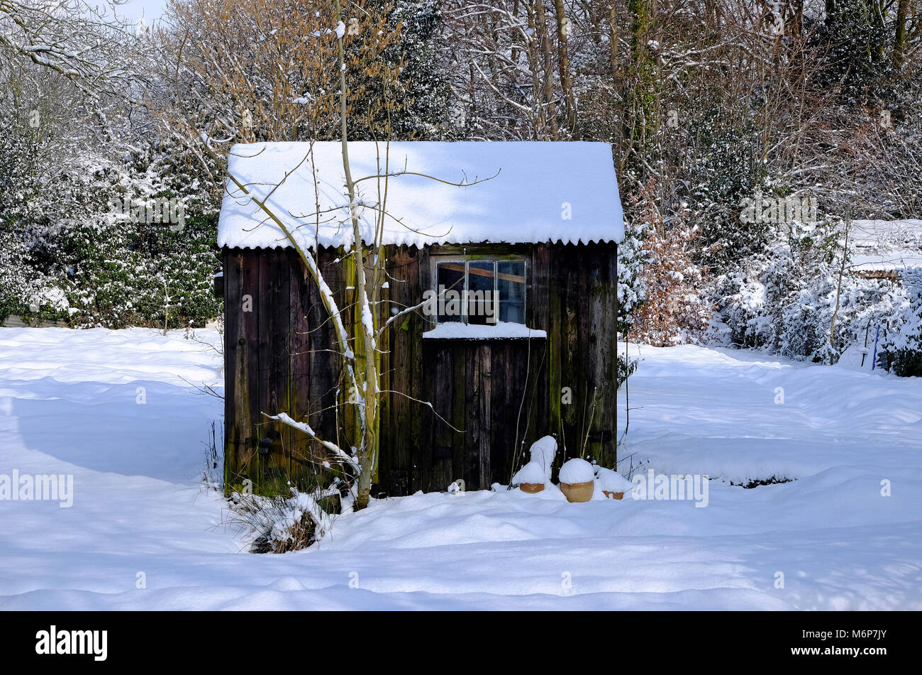 In inverno la neve sul riparto Tettoia da giardino, North Norfolk, Inghilterra Foto Stock