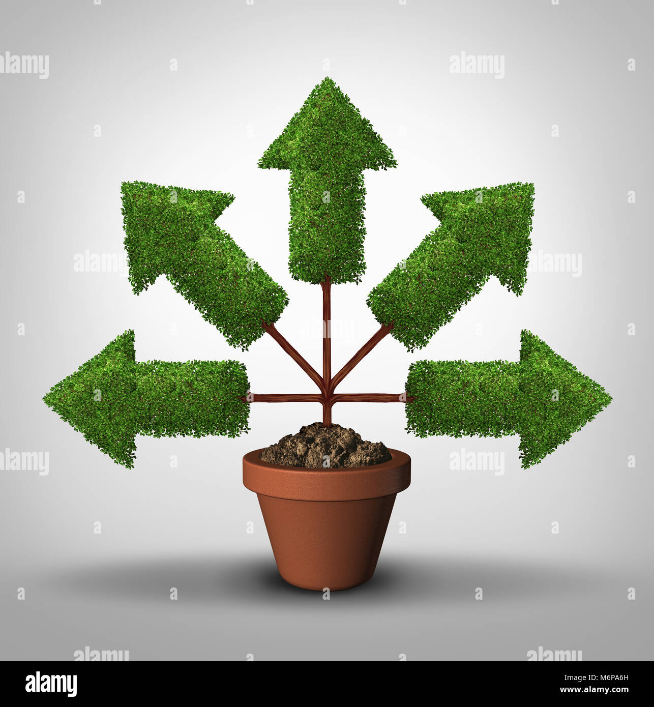 Coprire tutte le basi della crescita aziendale in tutte le direzioni come un albero con le frecce che puntano in più luoghi come una rete connessa per l'espansione. Foto Stock
