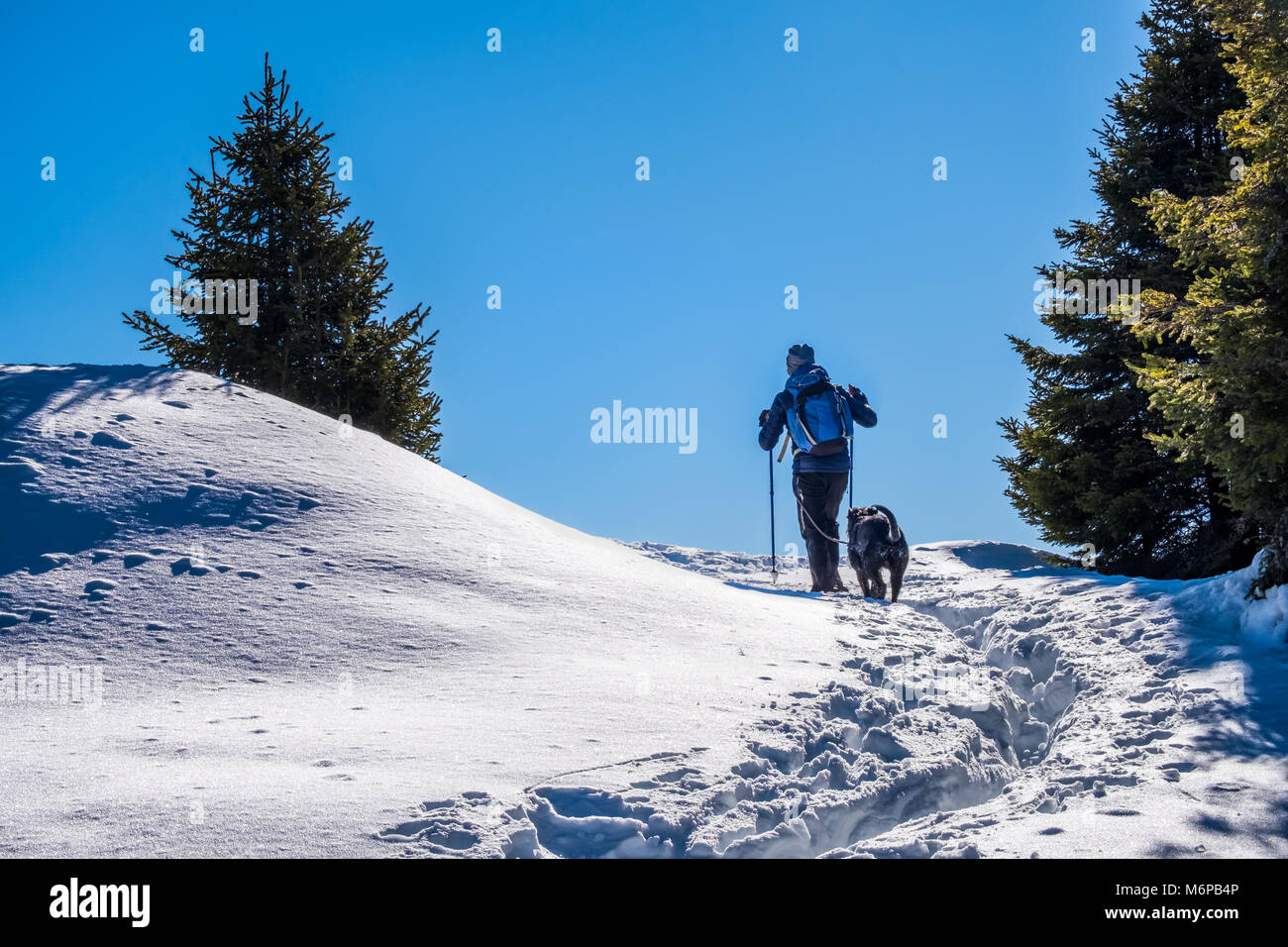 Escursionista maschio con giacca blu e backbag passeggiate con il cane nero attraverso la neve profonda sulla montagna Rennfeld in inverno Foto Stock