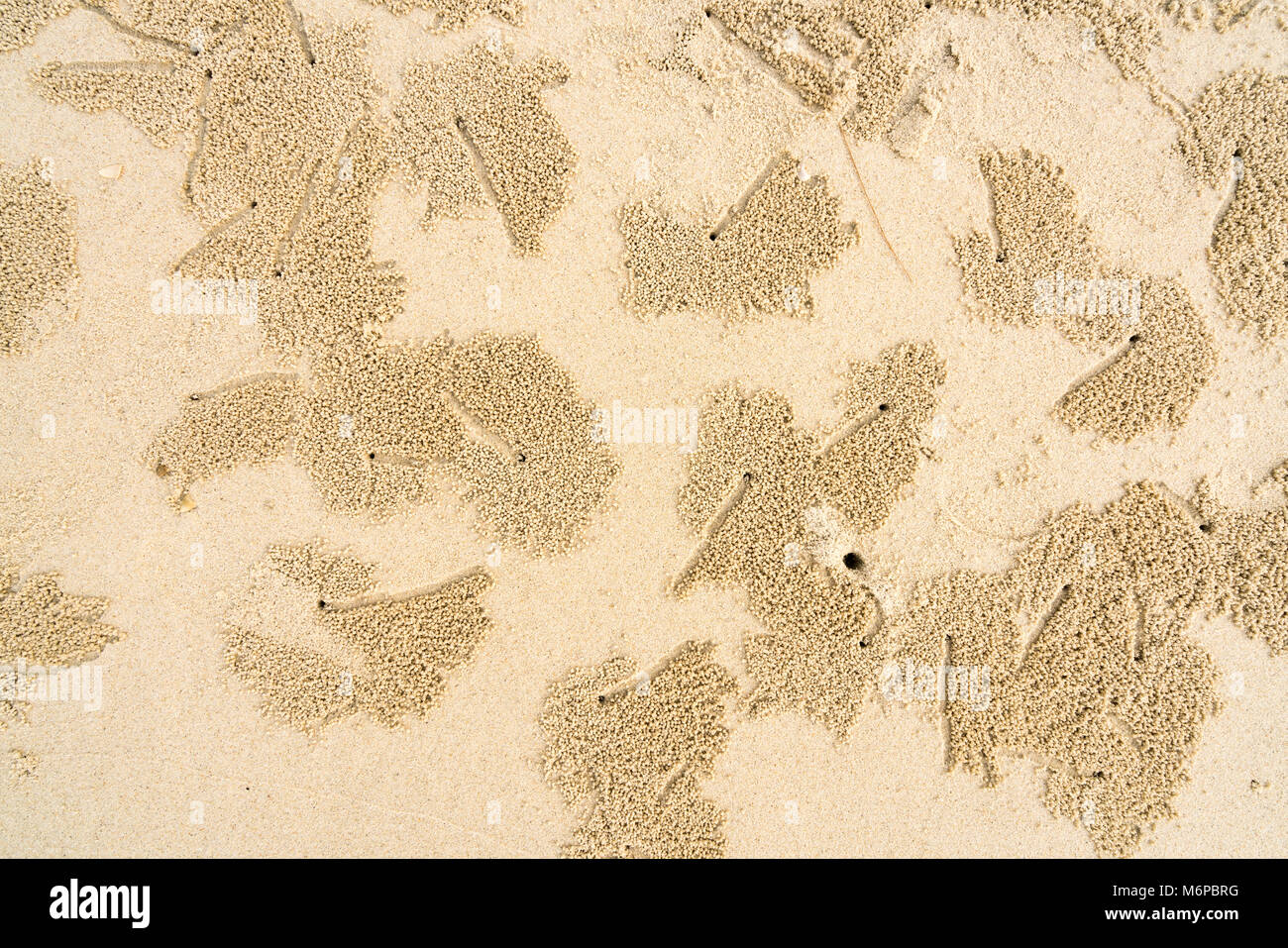 Crab Hole case e le sfere di sabbia sulla spiaggia dando un alieno instalation effetto Foto Stock