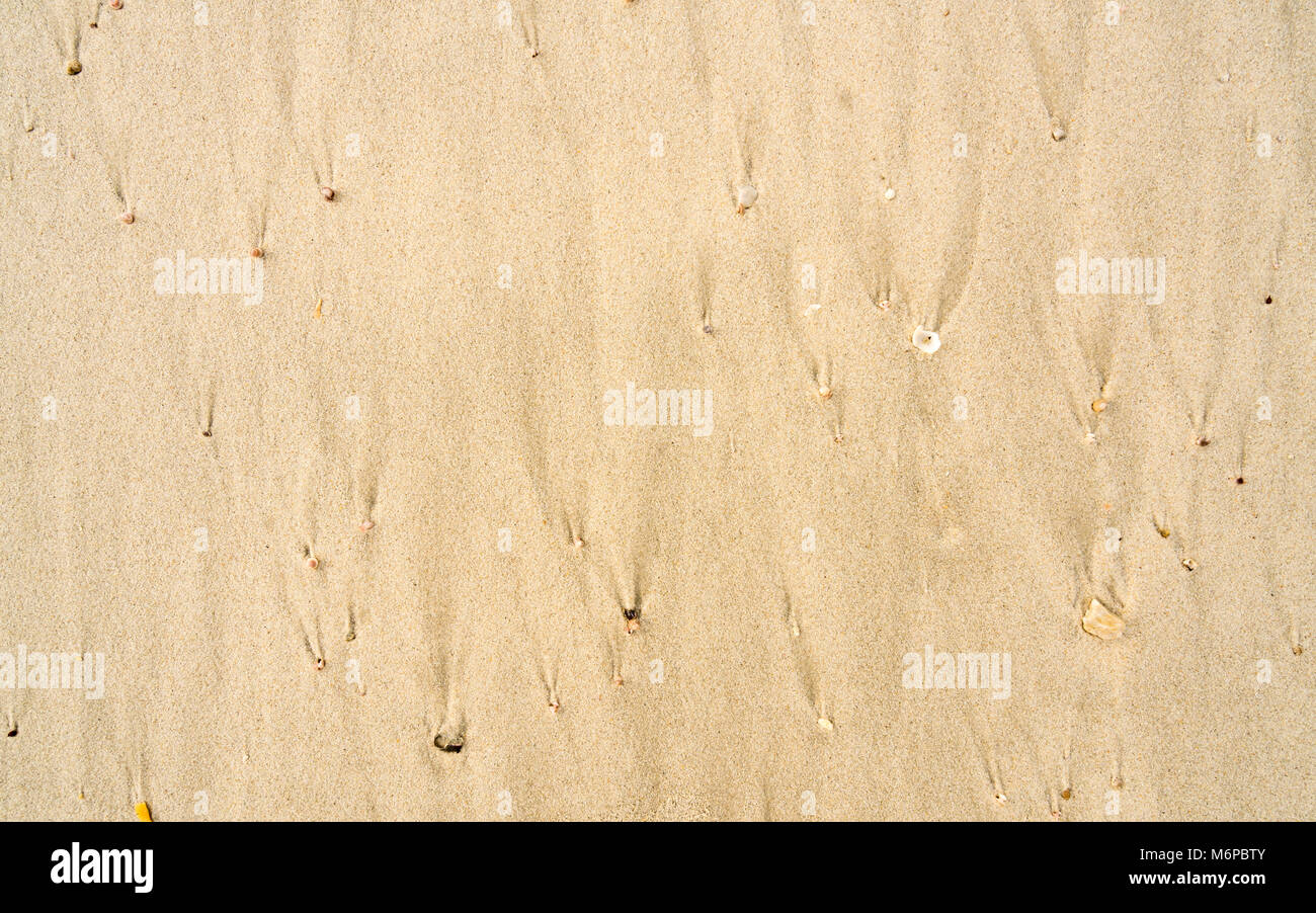Naturale di modelli di ripetizione nella sabbia sulla spiaggia a sinistra dietro come la marea e le onde andare fuori Foto Stock