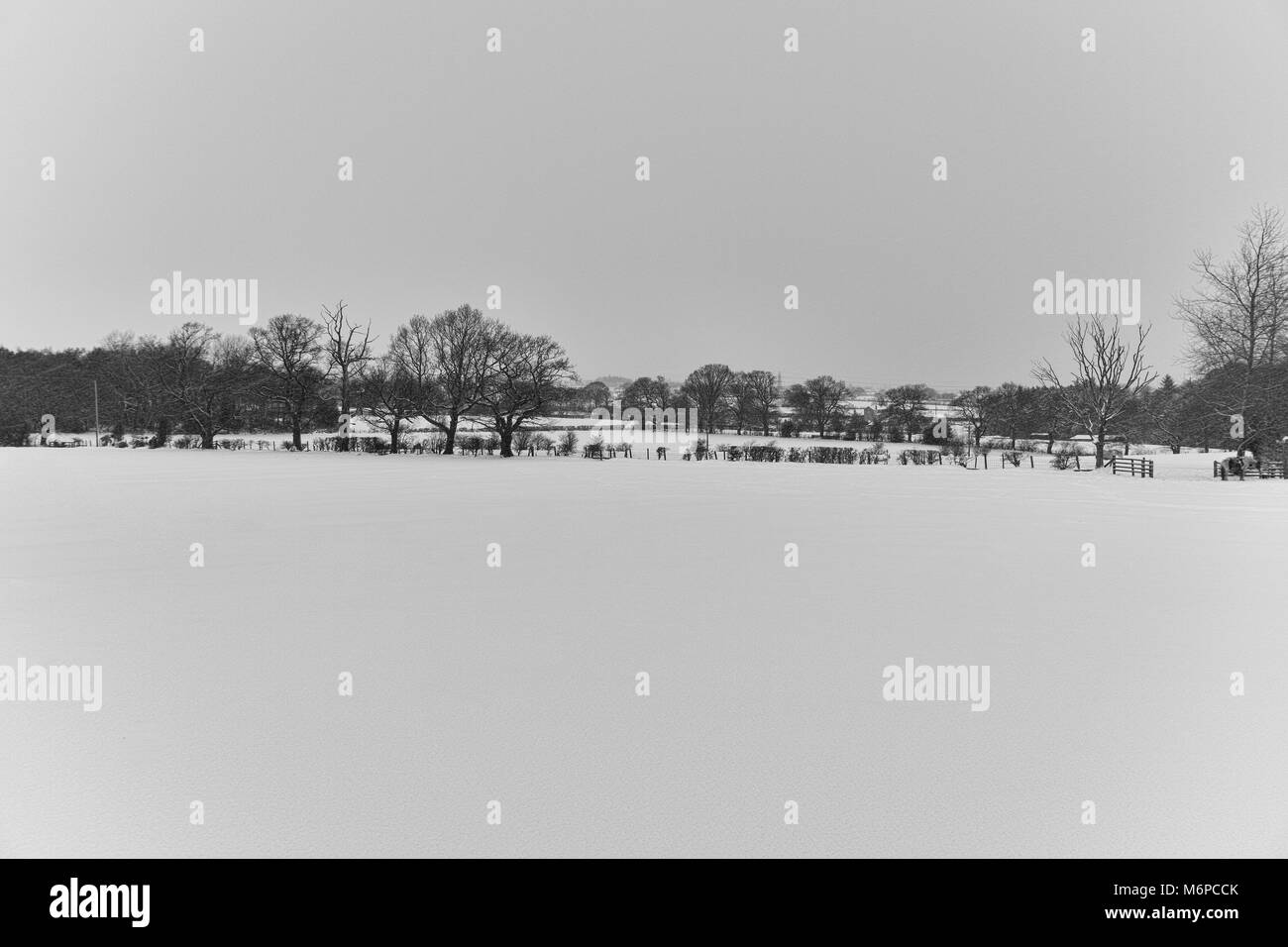 Dopo la bestia da est hits County Durham i campi e la campagna circostante sono coperti in una pesante coltre di neve fresca. Foto Stock