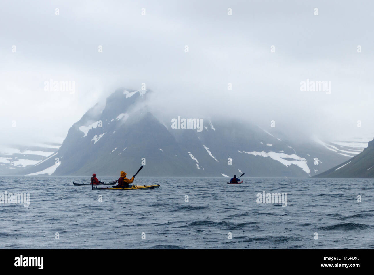 Kayak da mare, West fiordi, Islanda Foto Stock