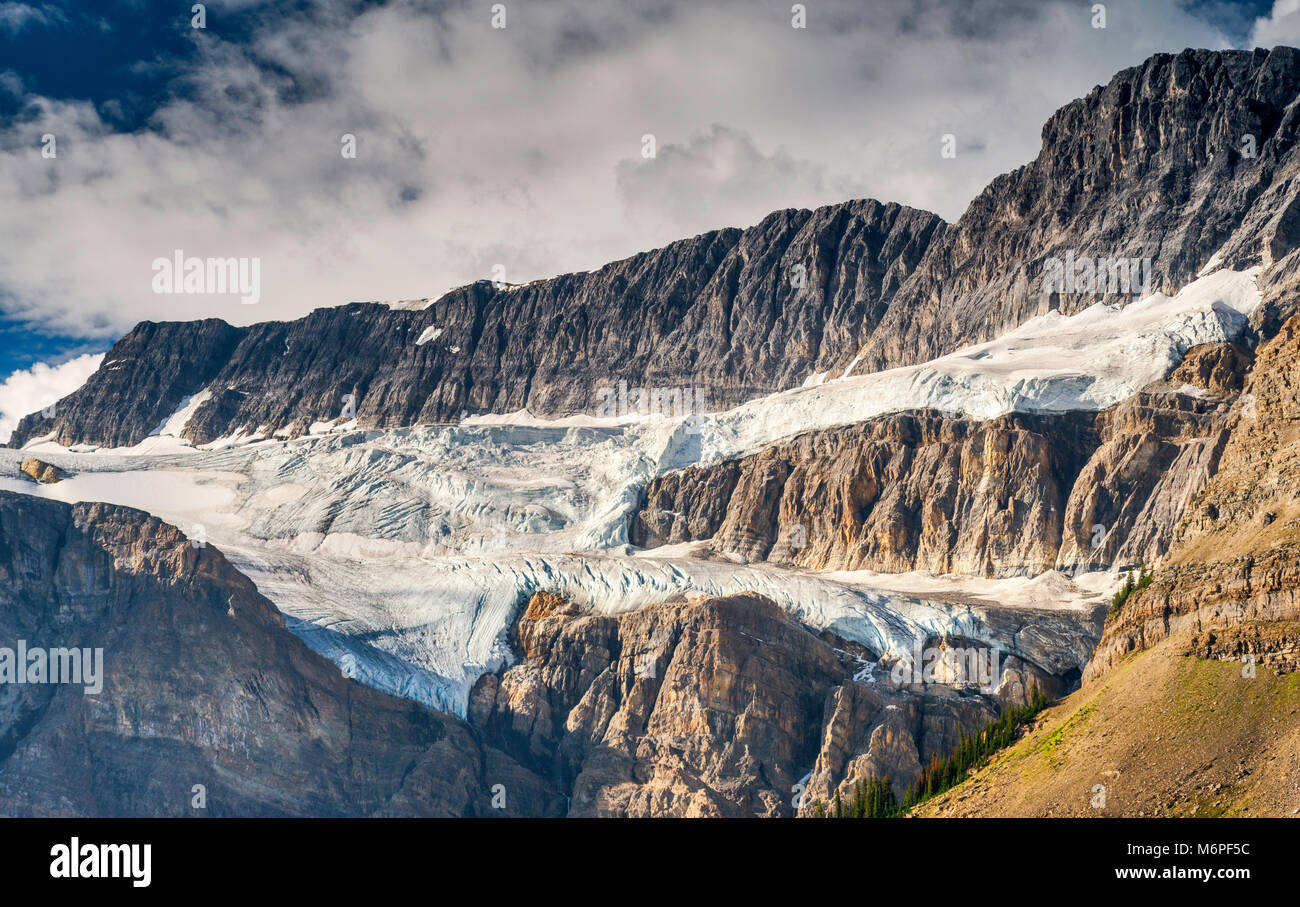 Il Ghiacciaio Crowfoot, Montagna Crowfoot, in Waputik montagne, Canadian Rockies, dall'Icefields Parkway, il Parco Nazionale di Banff, Alberta, Canada Foto Stock