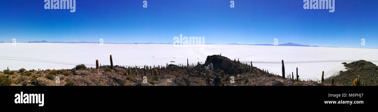 Salar de Uyuni vista da Incahuasi isola, Bolivia. Più grande distesa di sale nel mondo. Paesaggio boliviano Foto Stock