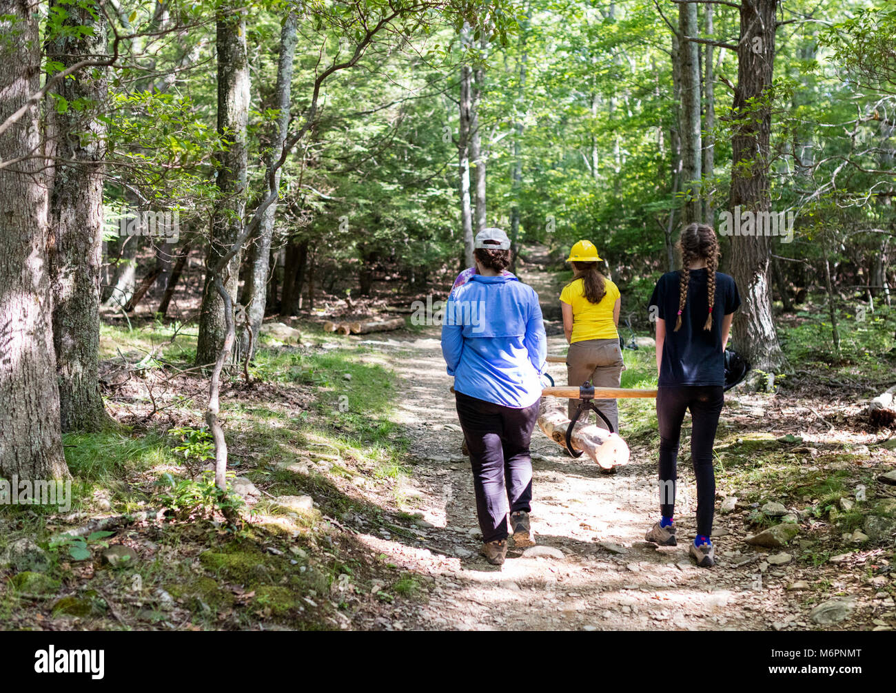 Conservazione dello studente AssociationGirl Trail Scout dell'equipaggio. Foto Stock