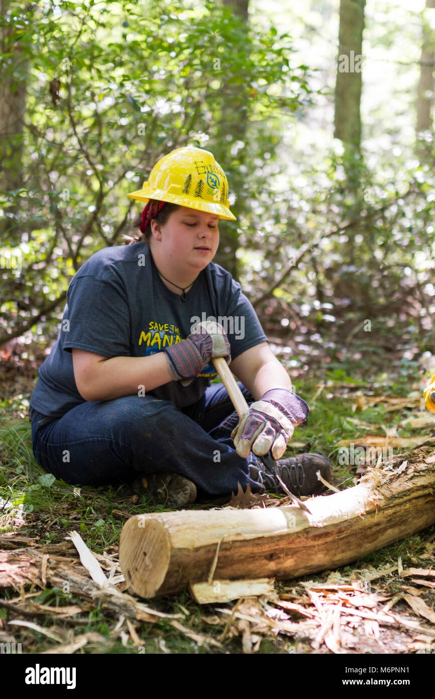 Conservazione dello studente AssociationGirl Trail Scout dell'equipaggio. Foto Stock