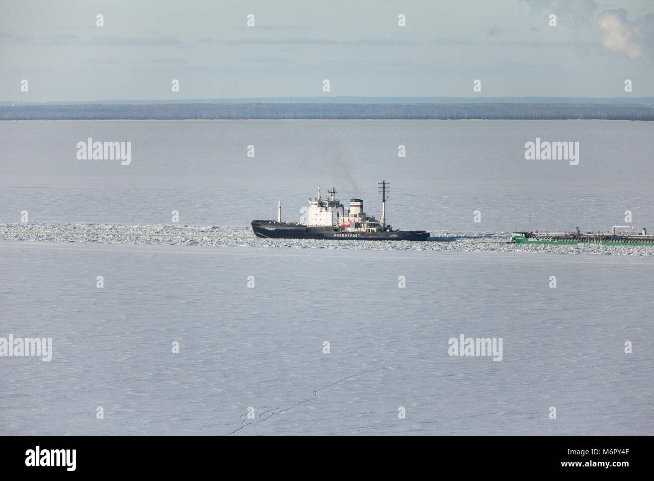 San Pietroburgo Russia 5 marzo 2018 Icebreaker 'Mudyug' passa attraverso un campo di ghiaccio nel Golfo di Finlandia, vista aerea Foto Stock