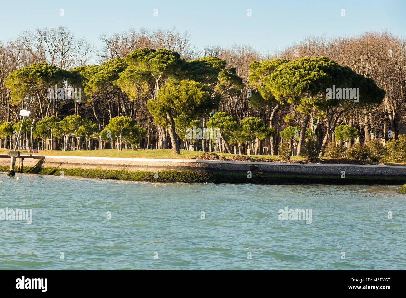 Parchi di Venezia sono molto belle anche in inverno Foto Stock