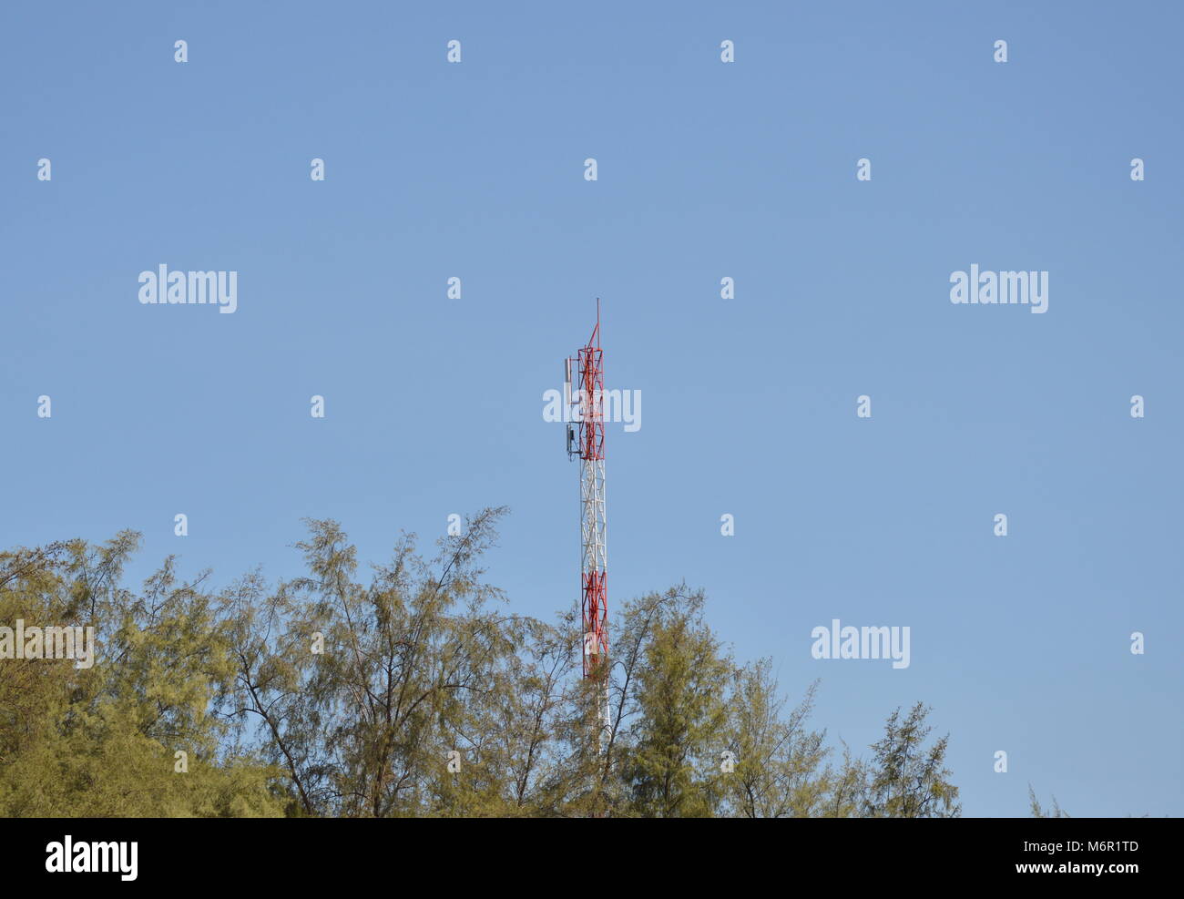 Telecomunicazioni e palo alto albero nella giornata di sole Foto Stock