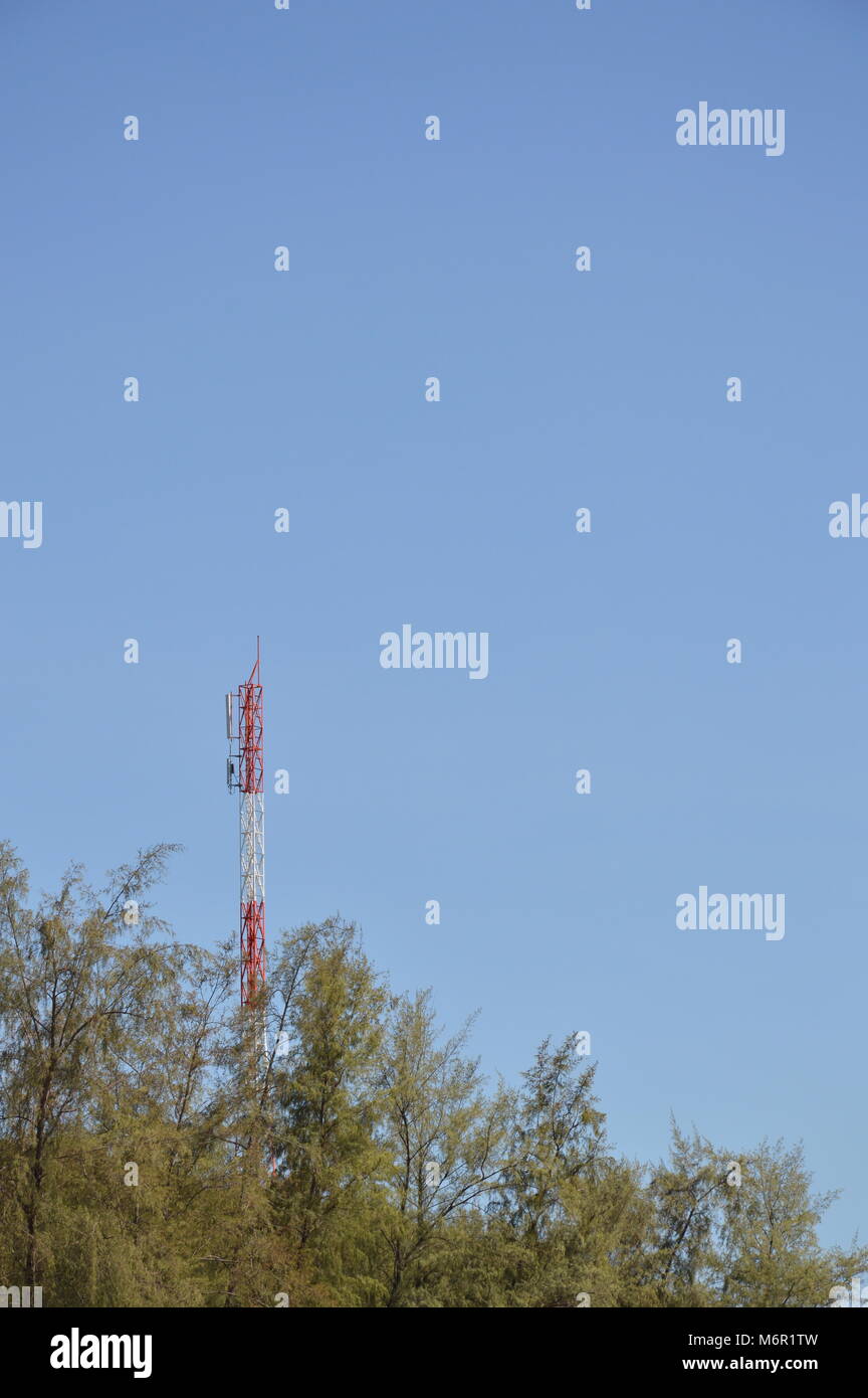 Telecomunicazioni e palo alto albero nella giornata di sole Foto Stock
