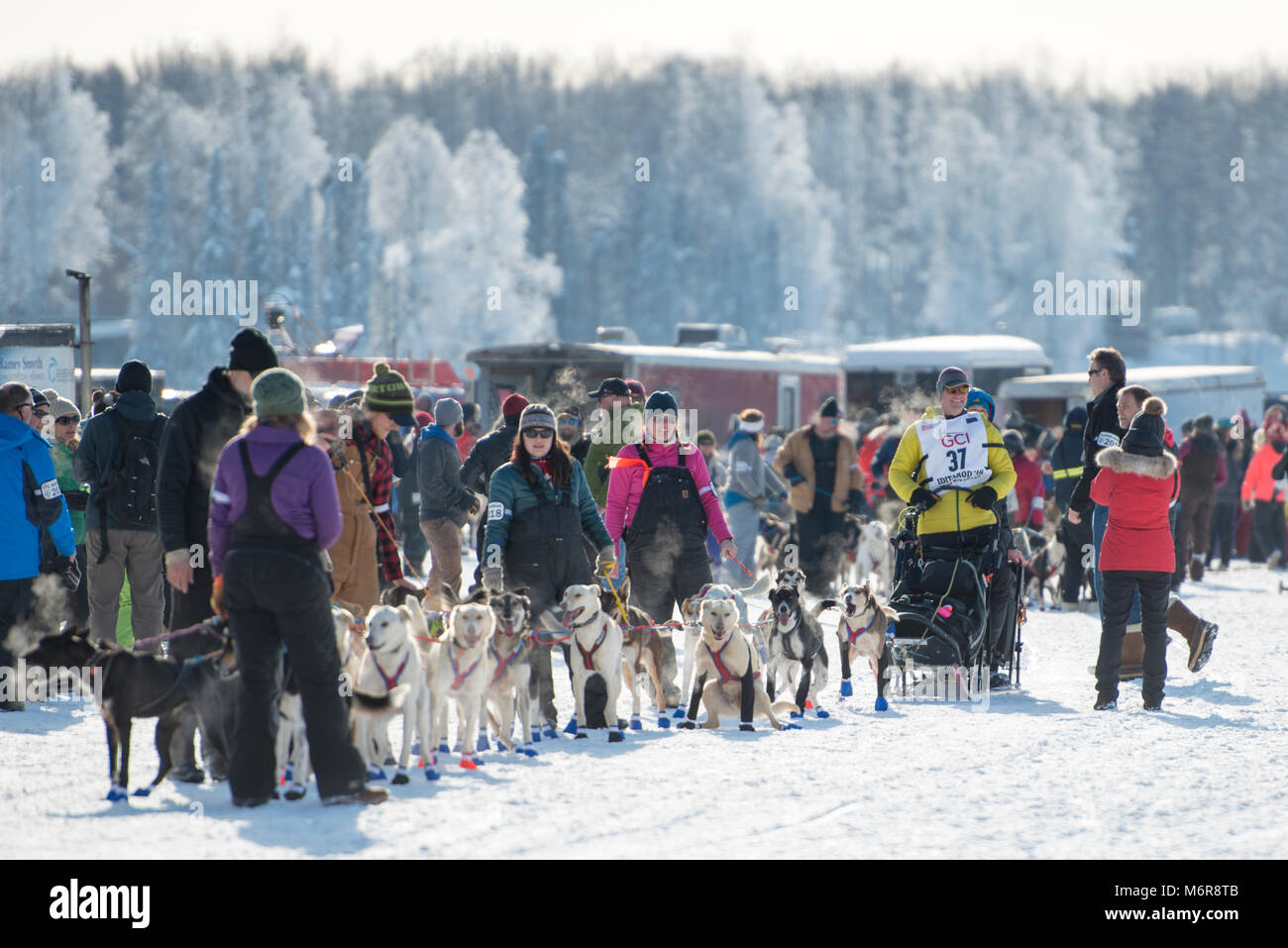 Willow, Alaska, Stati Uniti d'America. Mar 4, 2018. Brett Bruggeman di Great Falls, MT, STATI UNITI D'AMERICA attende con il suo team di avvicinarsi alla linea di partenza della Iditarod Sled Dog Race. Credito: Kristen Bentz/Alamy Live News Foto Stock