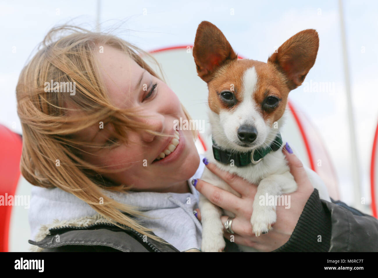 In occasione del lancio di Crufts 2018 al NEC di Birmingham, invidia, un papillon e Jack Russell cross, è trattenuto dal suo proprietario Megan Smyth. Foto Stock