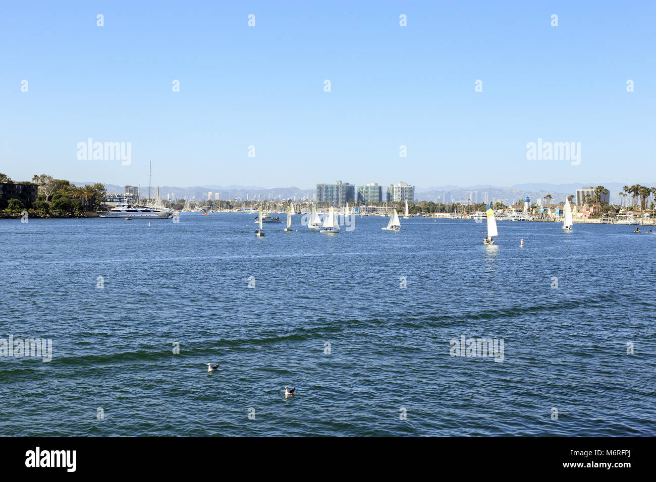Barche a vela in e fuori di Marina Del Rey California in un pomeriggio soleggiato Foto Stock