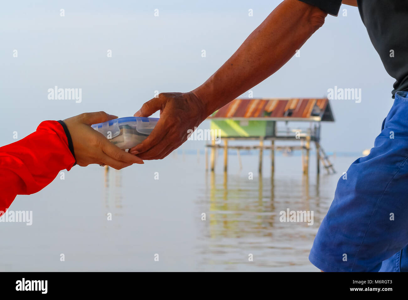 Dare il concetto di aiuto alimentare Foto Stock