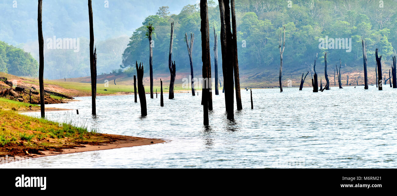 Questa foto è thekkady,un vero volto di divinità del proprio paese in Kerala. Foto Stock