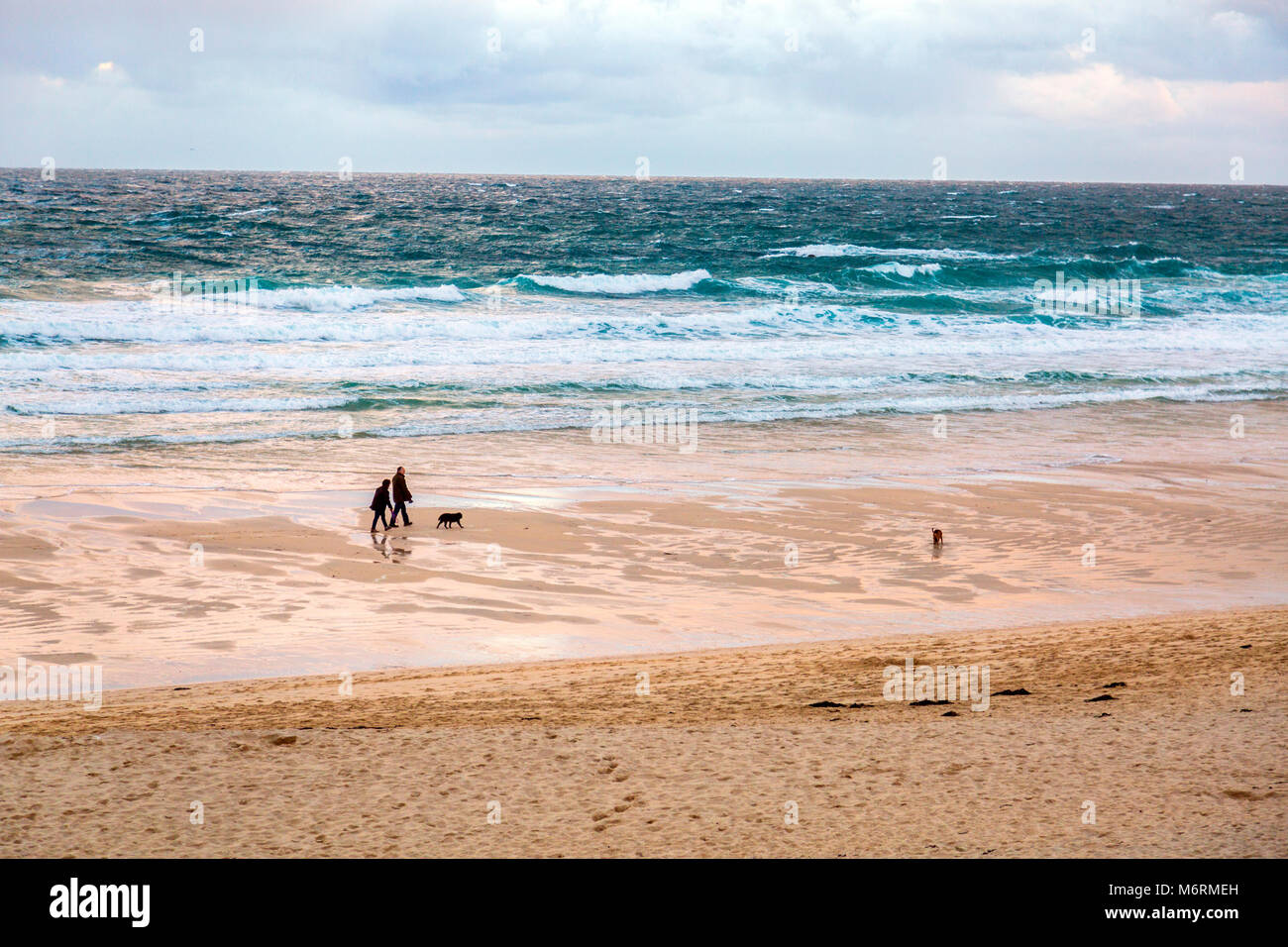 Dog walkers esercitano i loro cani su una deserta spiaggia Porthmeor in St Ives, Cornwall, Regno Unito Foto Stock