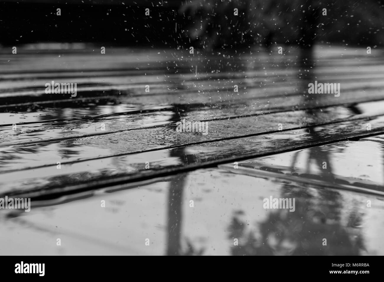 Close up di goccioline di acqua Foto Stock