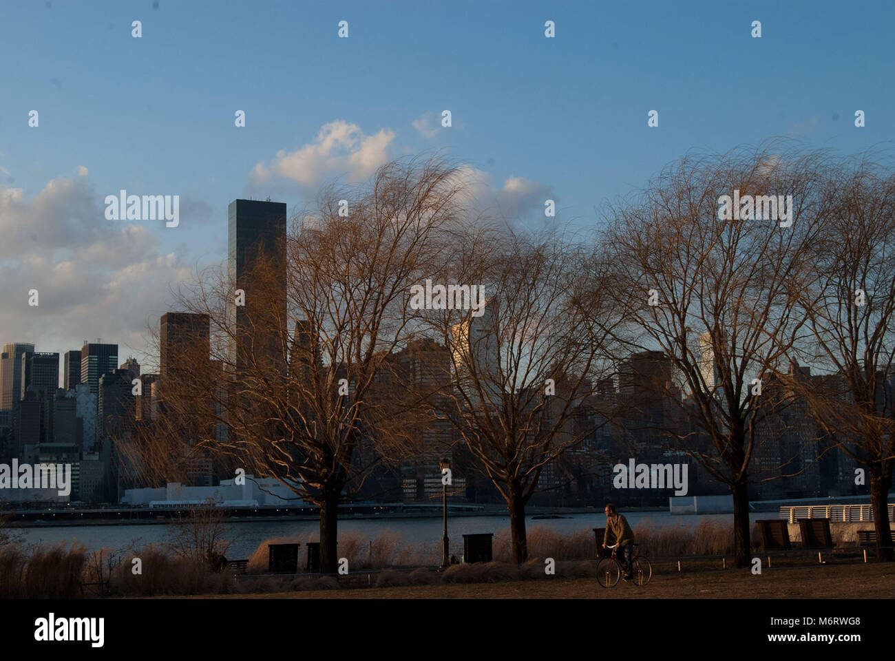 Persone che svolgono diverse attività con la skyline di New York in background Foto Stock