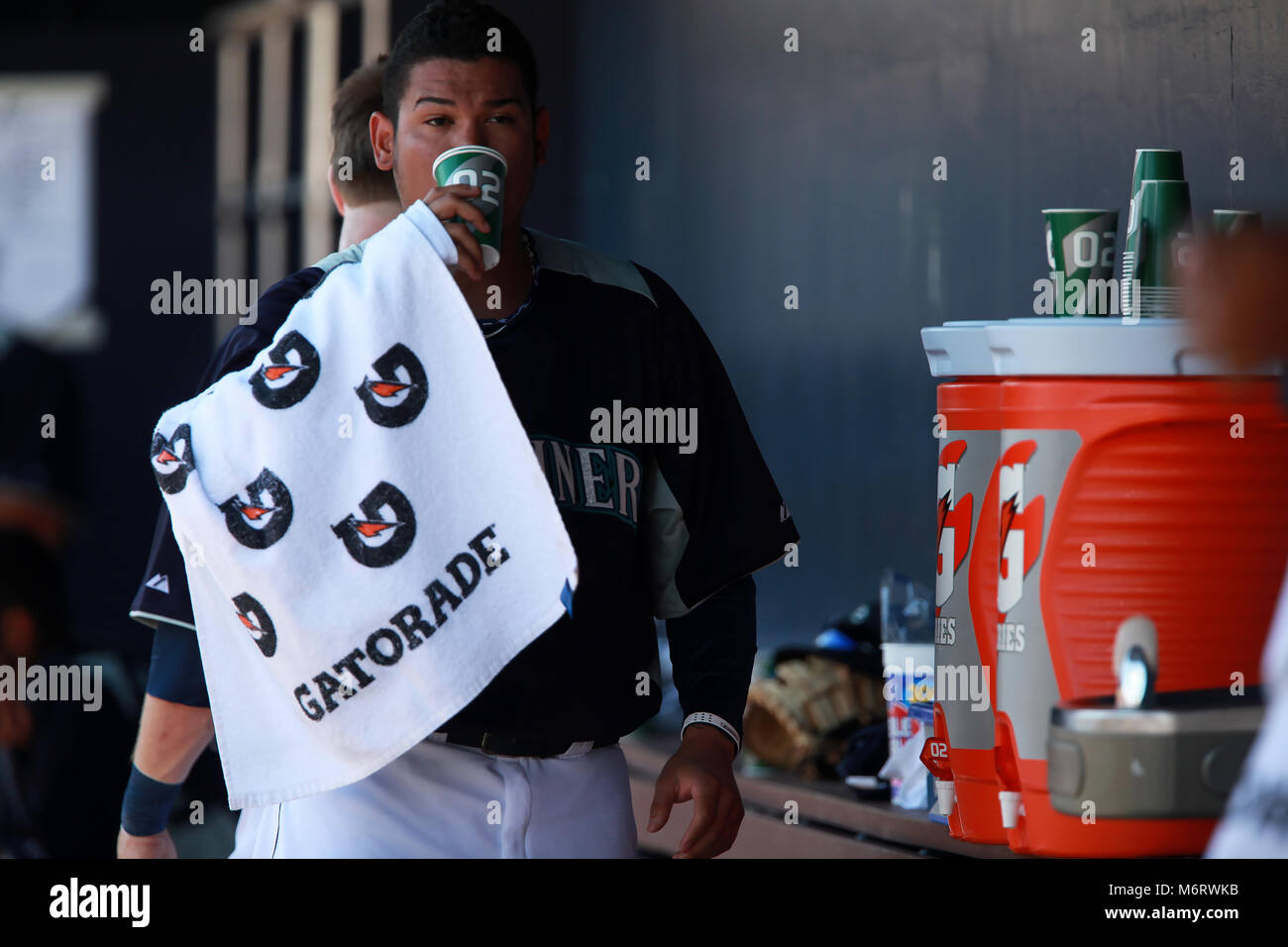 Félix Hernández lanzador de los Seatlle Mariners en el campo de entrenamiento Peoria Complesso Sportivo Foto: Alejandro van Schermbeek. 13/3/13 Foto Stock