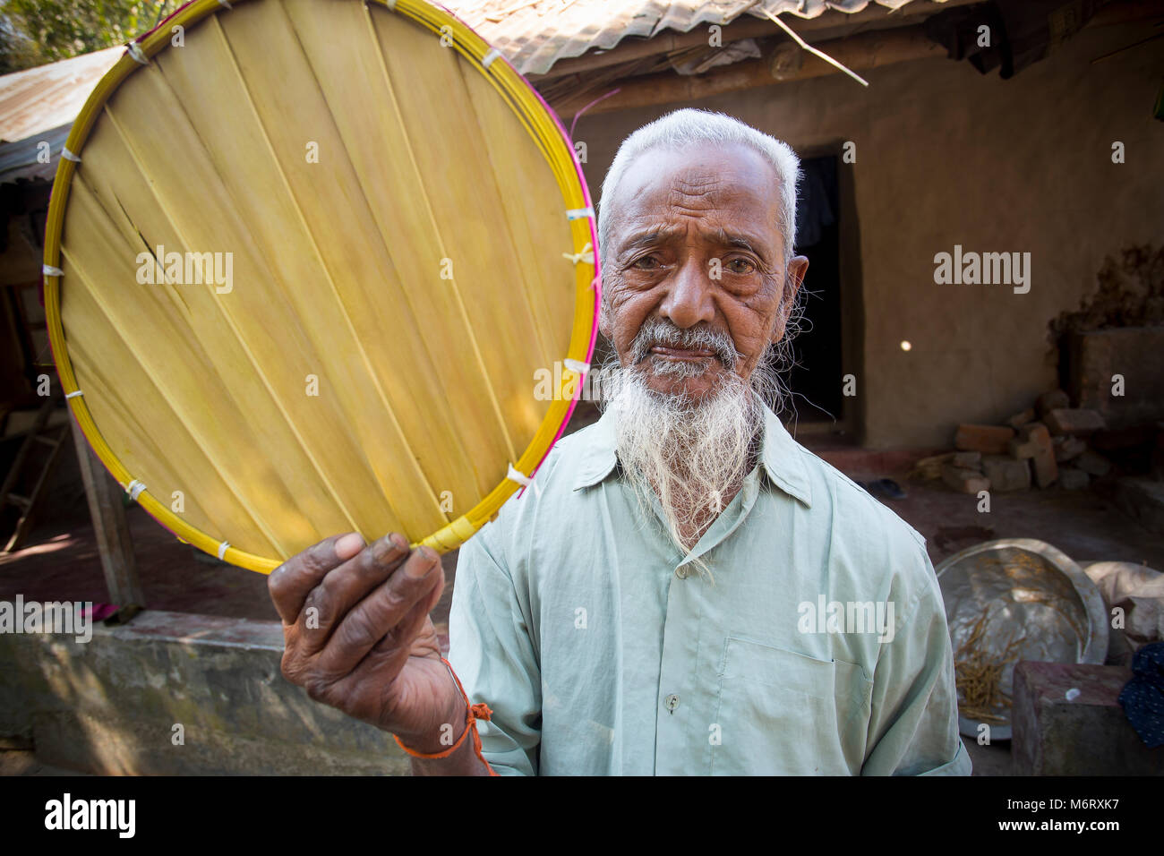 Ventola Palmyrah (pata Taal'r Pakha). Foto Stock