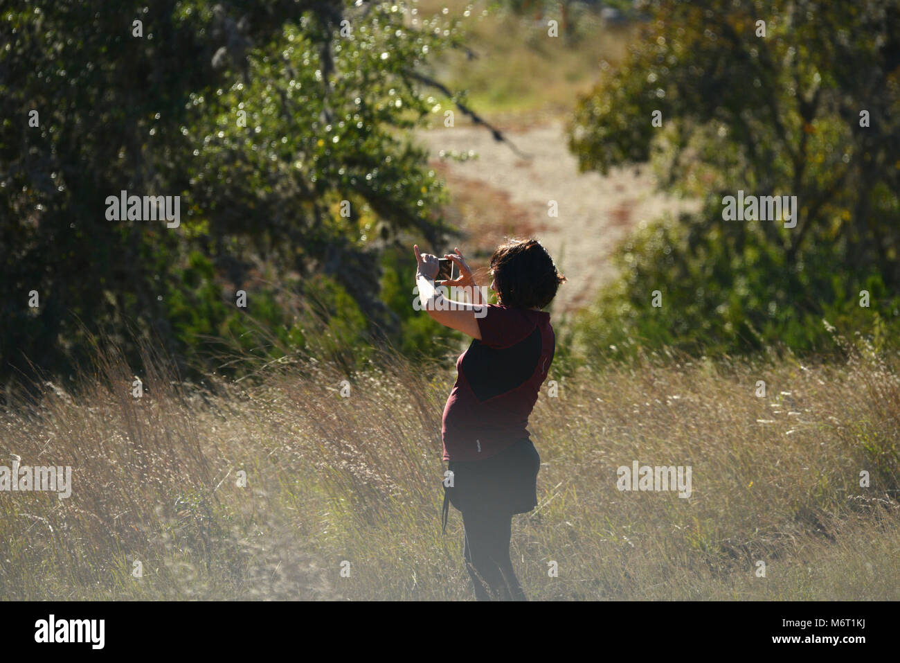 Donna che utilizza il telefono cellulare per fotografare la natura Foto Stock