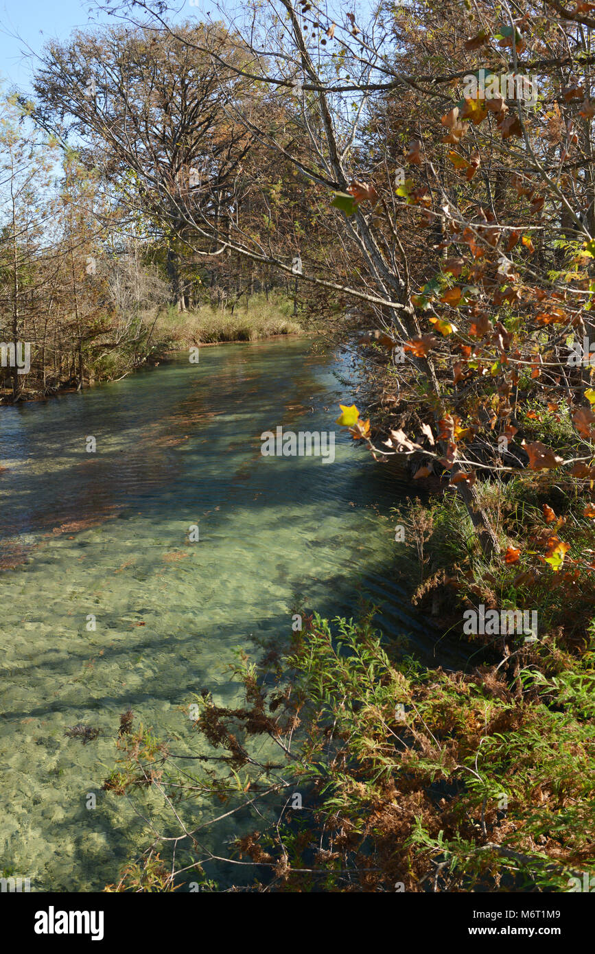 Alberi ed erbe con acqua in caduta stagione in Texas Hill Country Foto Stock