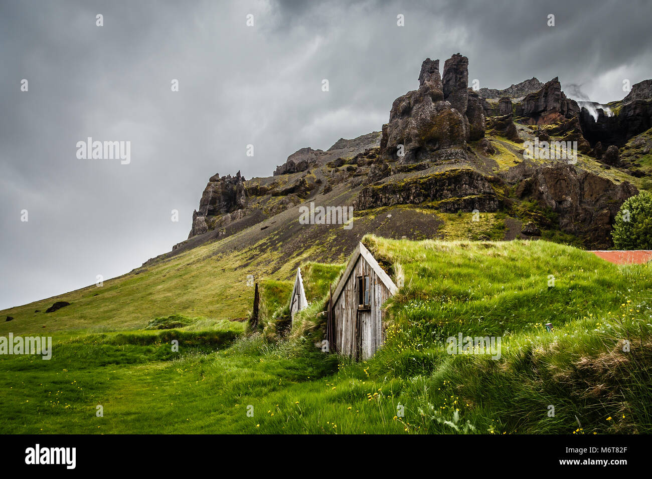 Tappeto erboso islandese case ricoperte di erba e scogliere in background vicino Kalfafell vilage, Sud Islanda Foto Stock