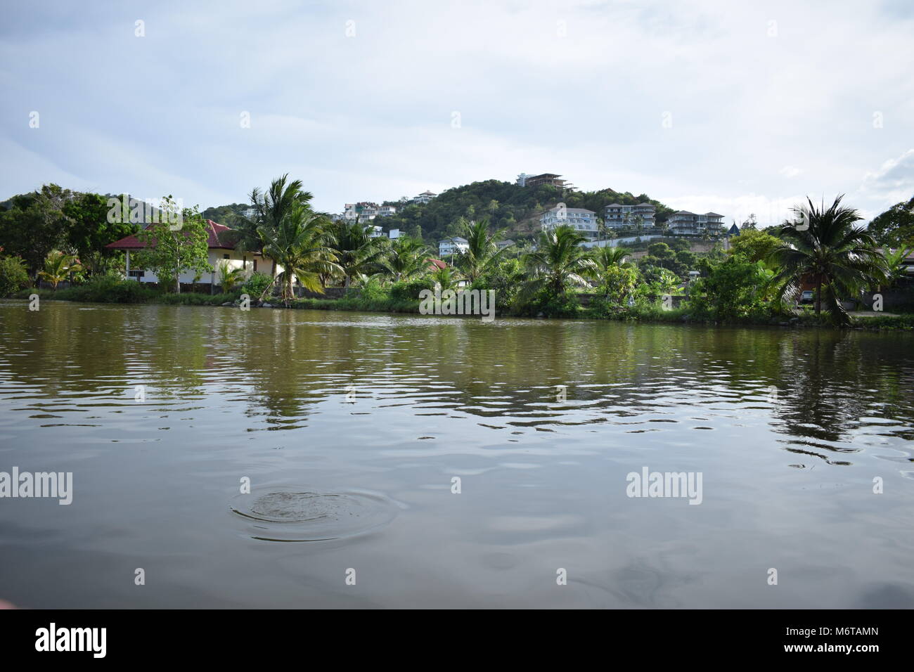 Esotici lago verde con la riflessione delle palme e i bordi e una collina con molte case in background sul cielo blu con nuvole in Samui. Foto Stock