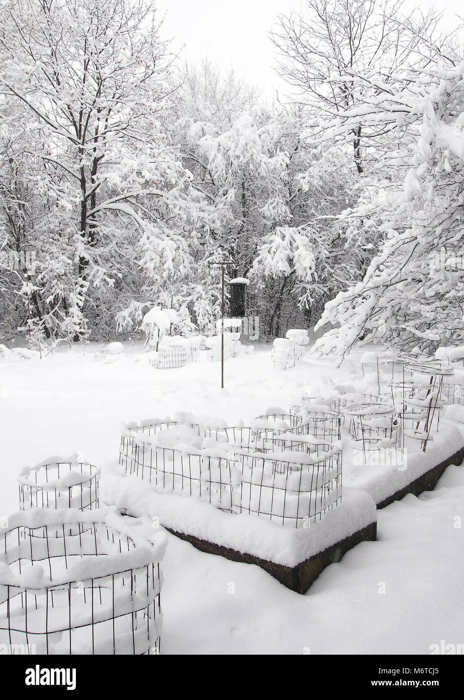 Backyard e foresta coperta di neve dopo una tempesta di neve Foto Stock