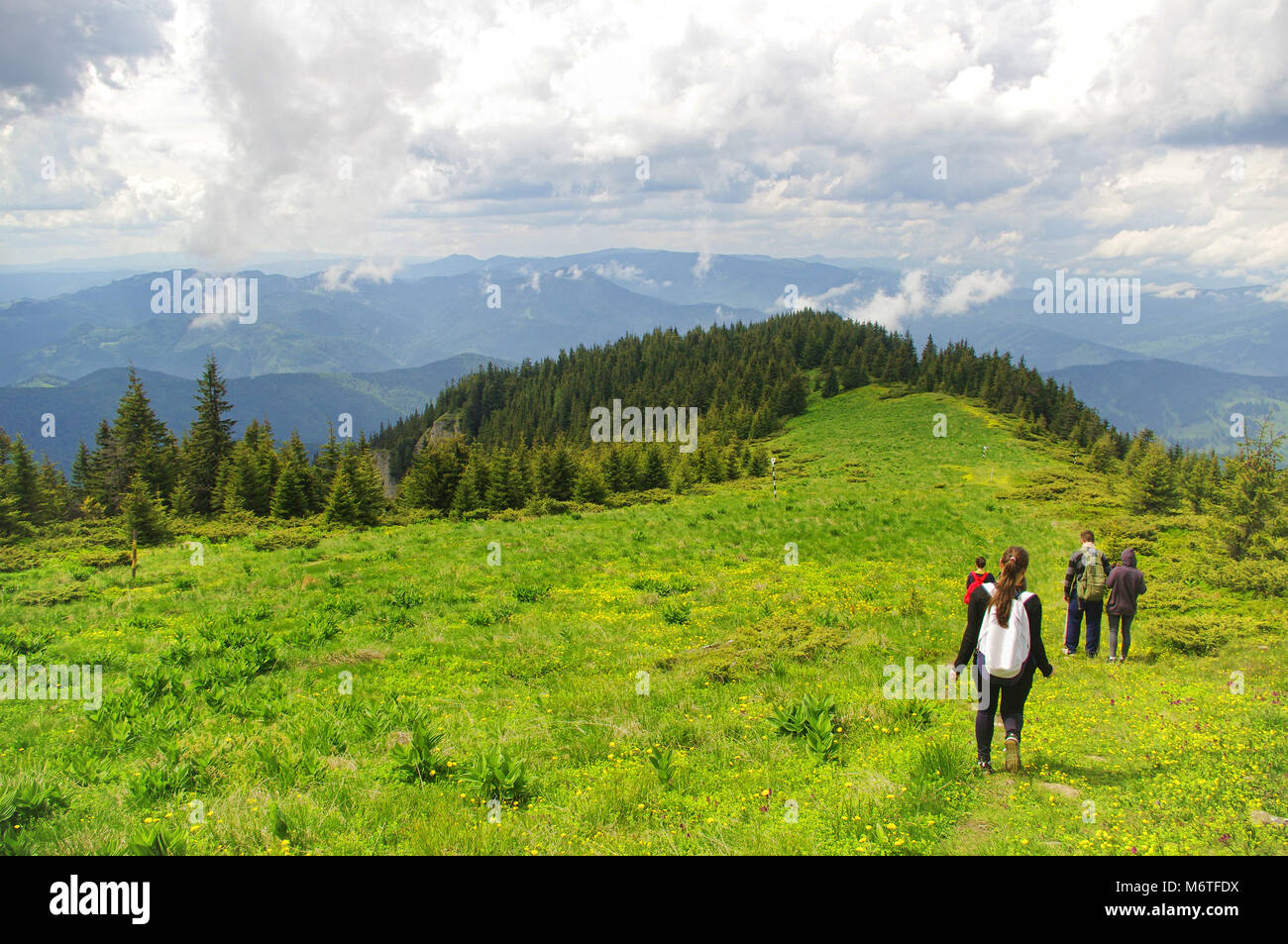Scena della montagna nel massiccio Ceahlau, Carpazi romeni Foto Stock