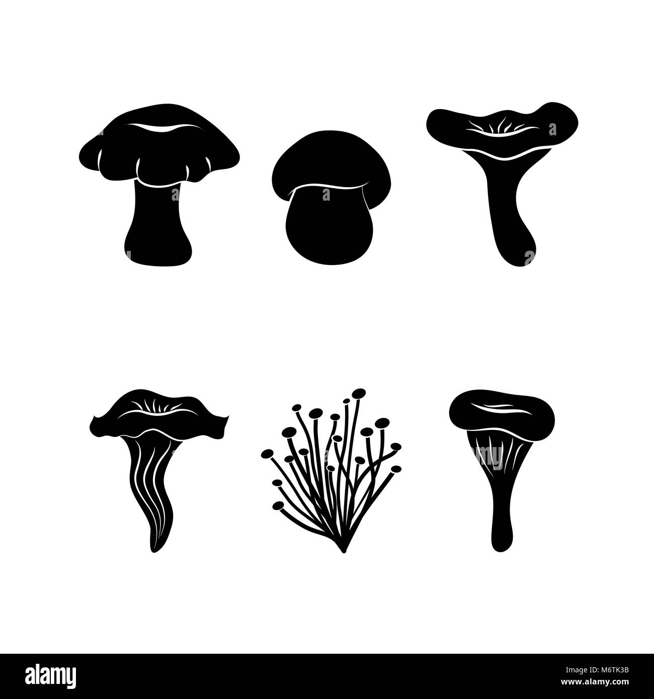Diversi tipi di funghi Illustrazione Vettoriale