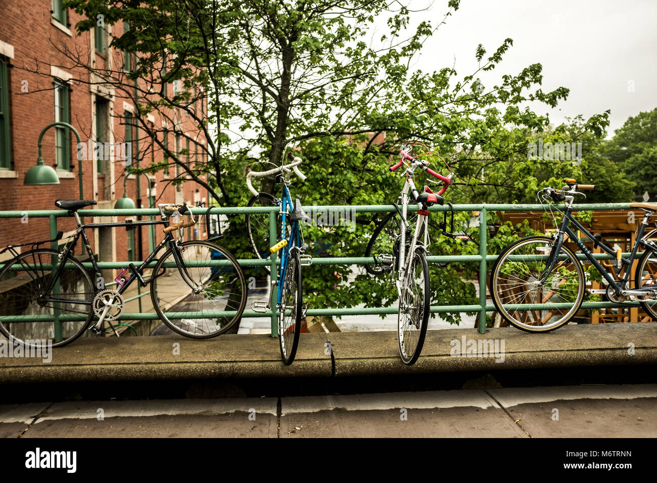 Biciclette parcheggiate in un giorno di pioggia Foto Stock