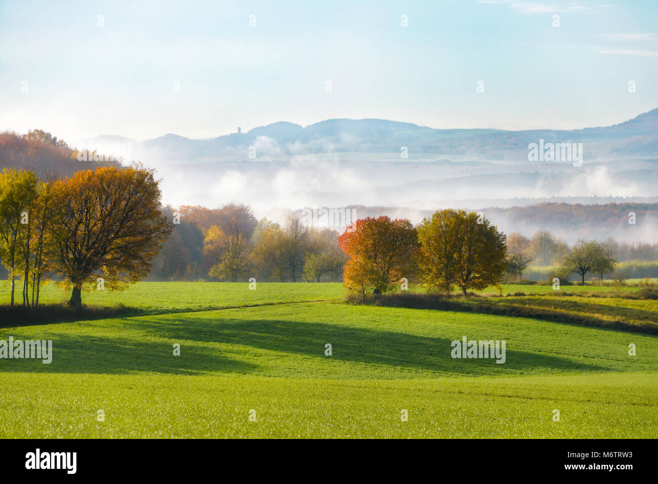 I campi e gli alberi in autunno, early morning mist si alzò dalla valle del Reno, scenic paesaggio di campagna Westerwald, vista sulle colline del Eifel Foto Stock