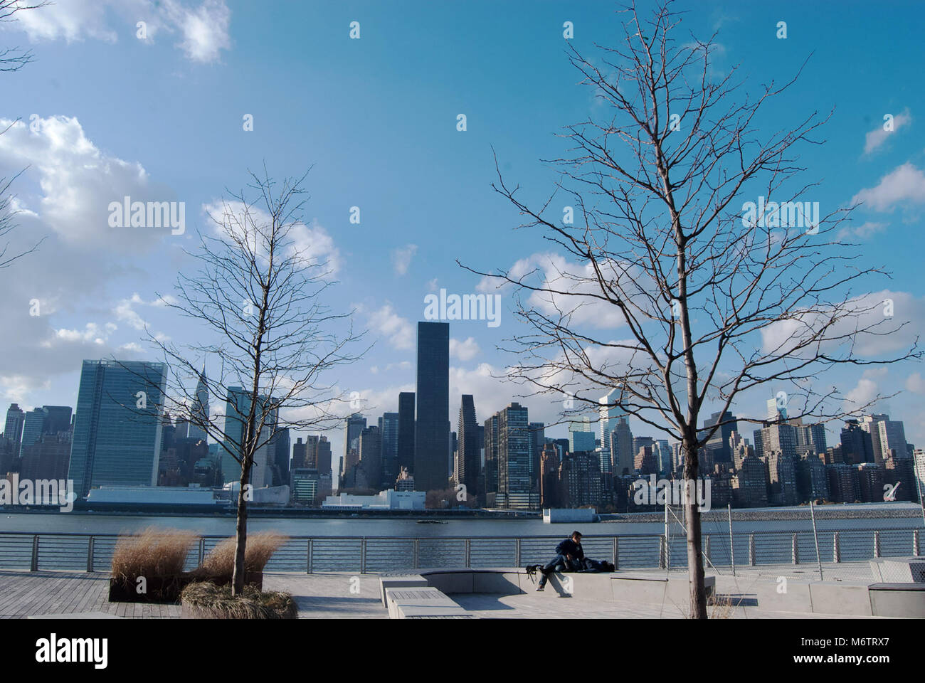 Persone che svolgono diverse attività con la skyline di New York in background Foto Stock