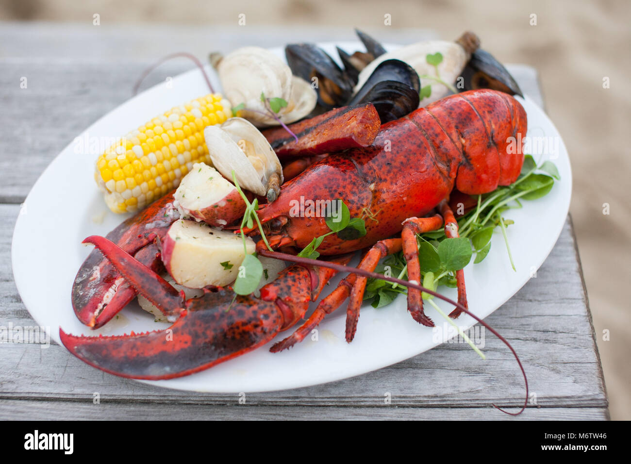 Un piatto di cibo cotto in un tradizionale New England astice e vongole cuocere sulla spiaggia in Chatham, Massachusetts il Cape Cod. Foto Stock