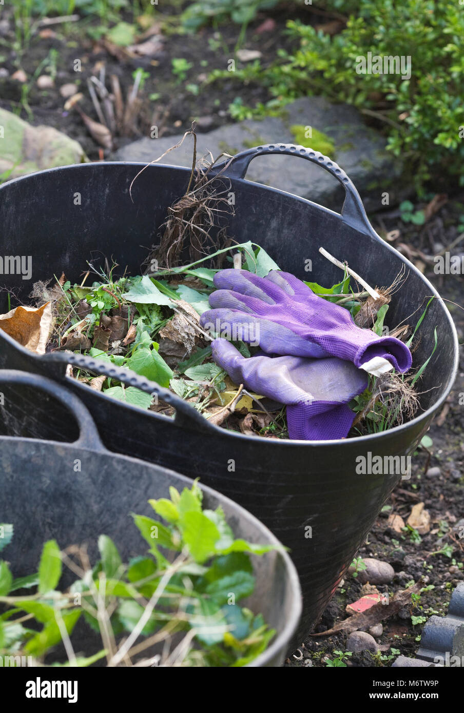 Del giardiniere trug pieno di erbacce e di materiale erbaceo. Foto Stock