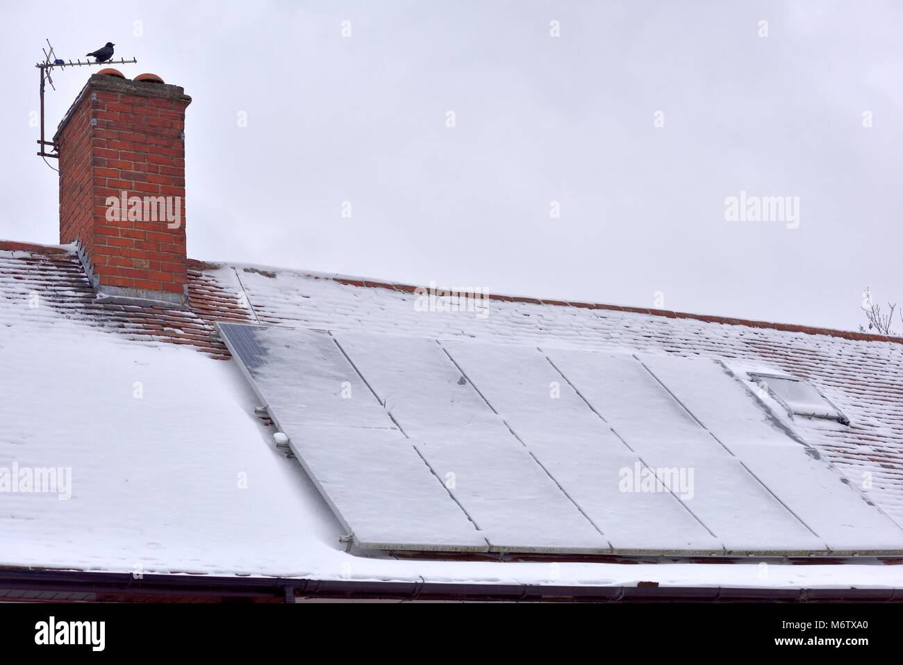 Pannelli solari su un tetto coperto di neve uk Foto Stock