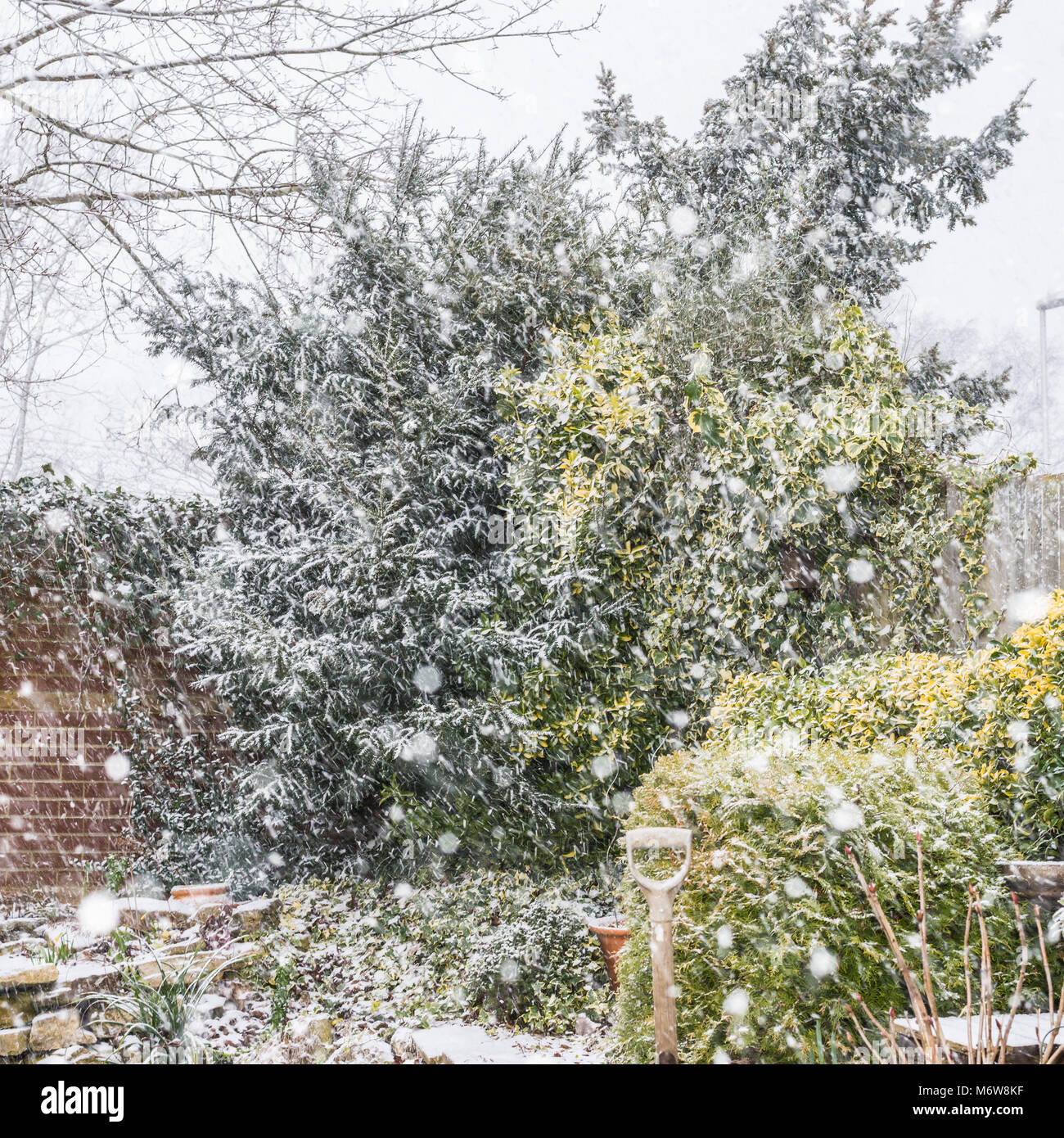 Un colpo di neve caduta nel giardino sul retro di una casa. Foto Stock