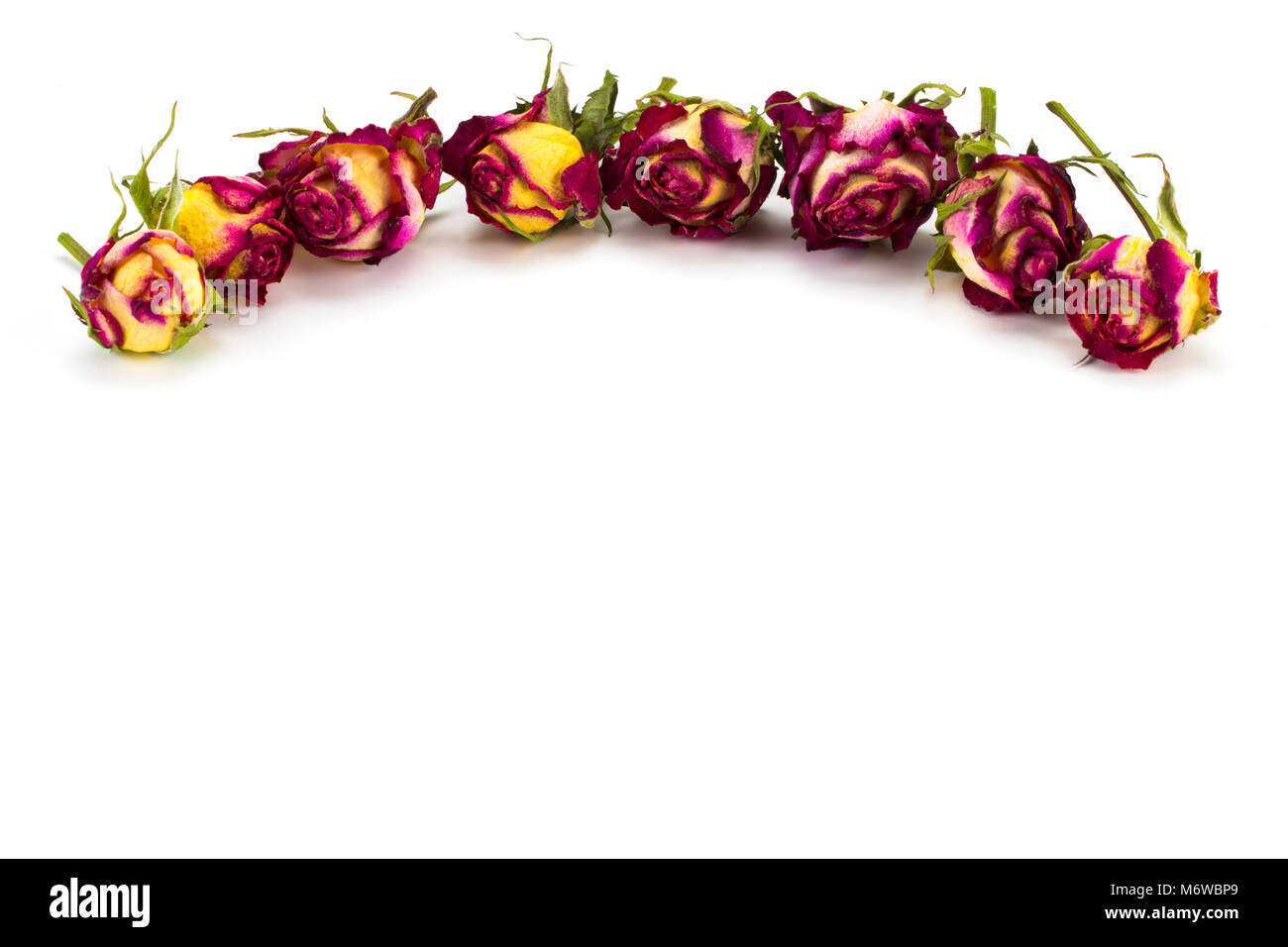 Cornice rotonda corona pattern con rose, boccioli di fiori, rami e foglie isolati su sfondo bianco. flat laico, vista dall'alto. Foto Stock