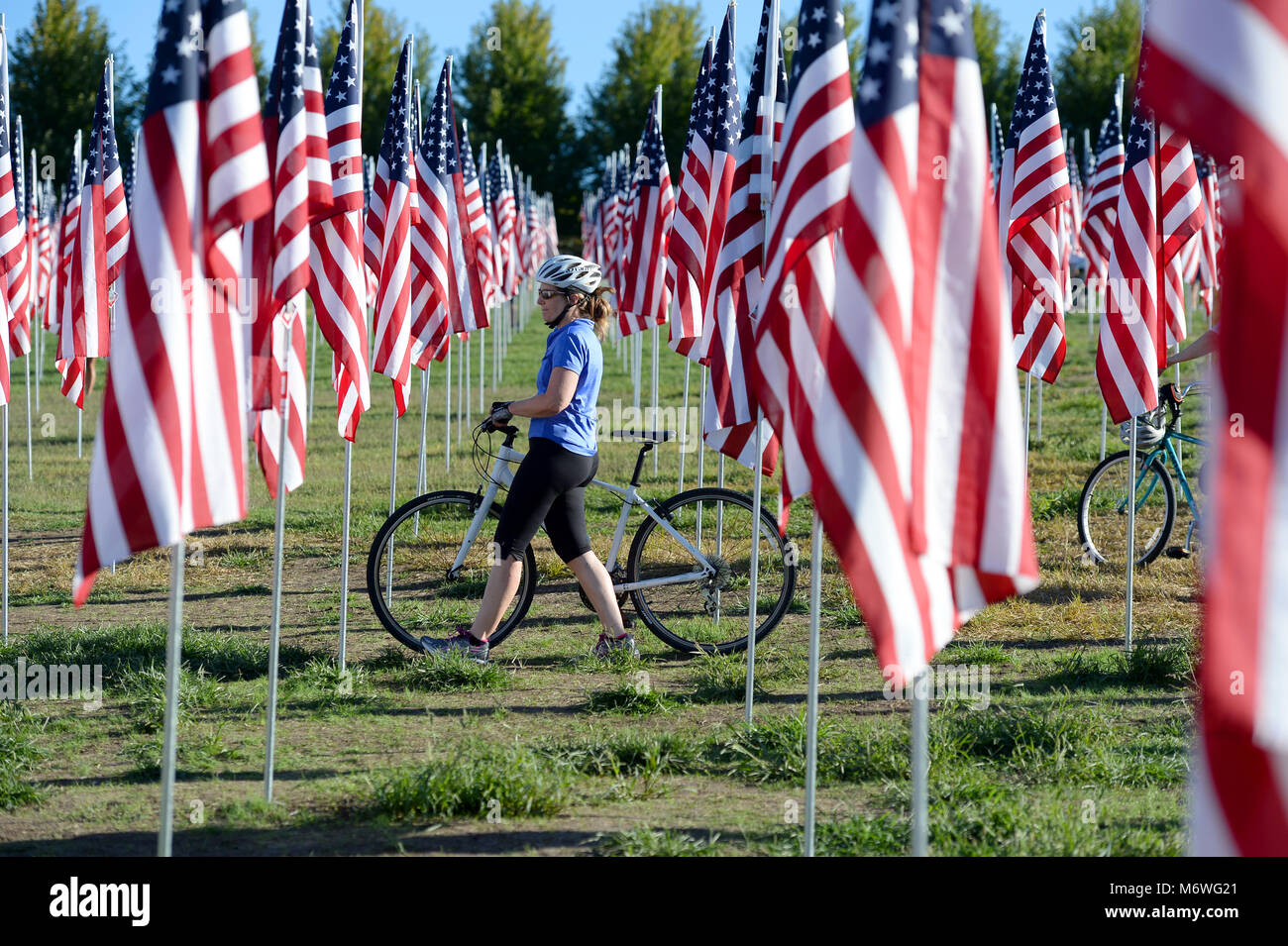 Saint Louis, MO - 11 Settembre 2016: più di 7 mila bandiere con nome, foto e dog tag del soldato ucciso per difendere gli Stati Uniti al di fuori onda th Foto Stock