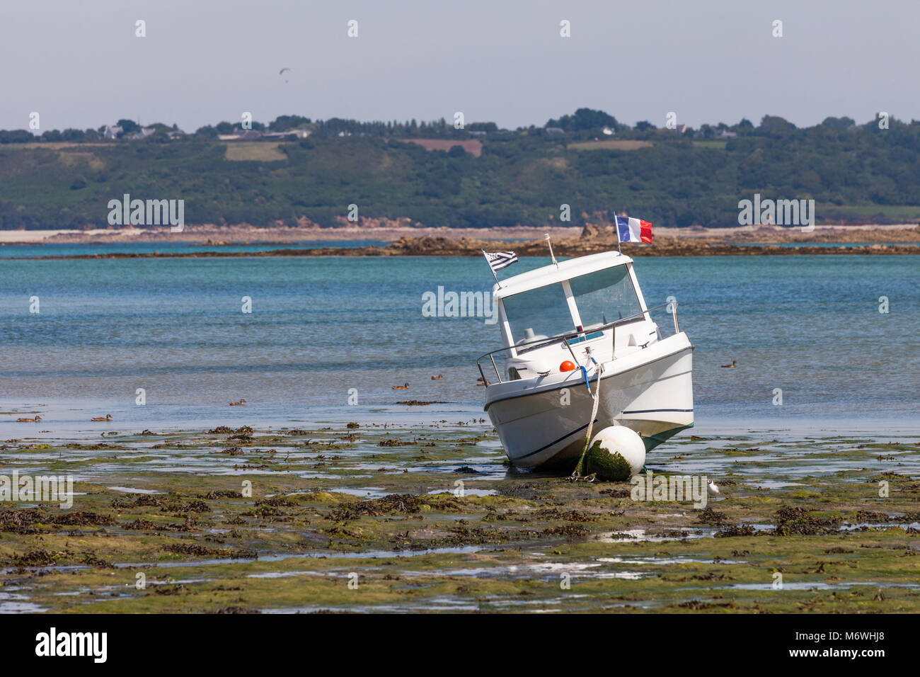 Imbarcazione a motore soggiorno sulla chiglia durante il deflusso in Bretagna - Francia Foto Stock